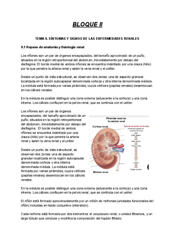 Miniatura del documento BLOQUE-II-Fisio-Documentos-de-Google.pdf