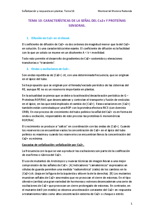 Miniatura del documento TEMA-10-SENALIZACION.pdf