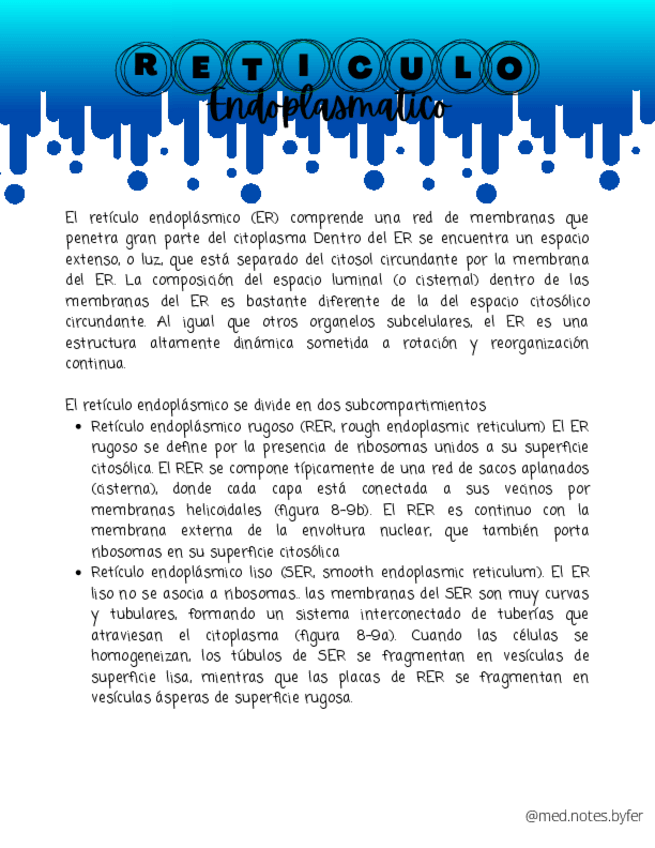 Miniatura del documento Reticulo-Endoplasmatico-y-Complejo-de-Golgi.pdf