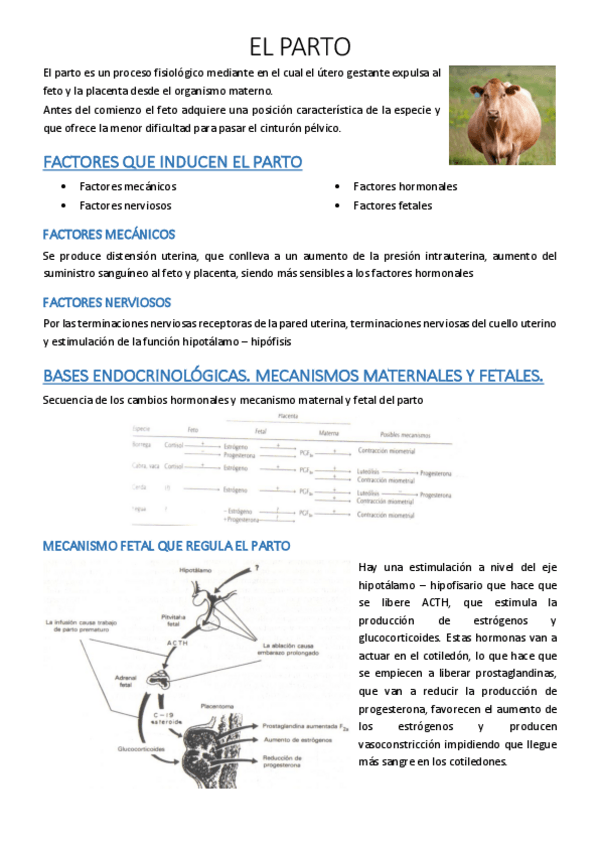 Miniatura del documento 41.pdf