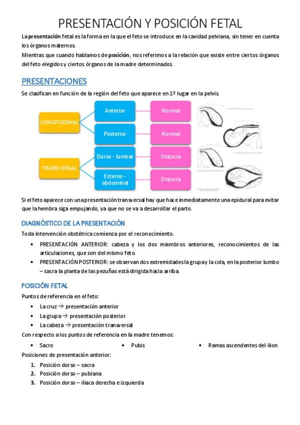 Miniatura del documento 42.pdf