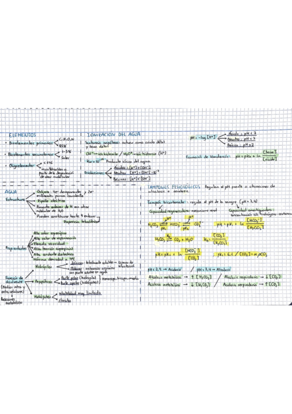 Miniatura del documento Esquemas-de-todos-los-temas.pdf