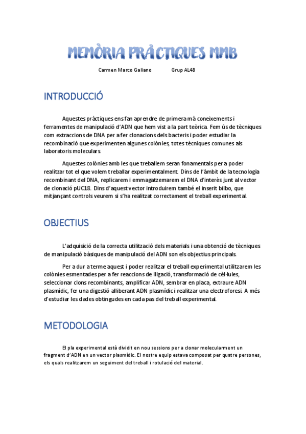 Miniatura del documento MMB-Memoria-practiques-carmarg6.pdf