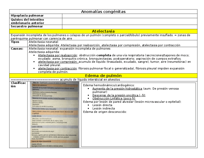 Miniatura del documento 4-Patologia-Respiratoria.docx