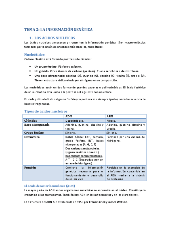 Miniatura del documento La-informacion-genetica-Resumen.pdf