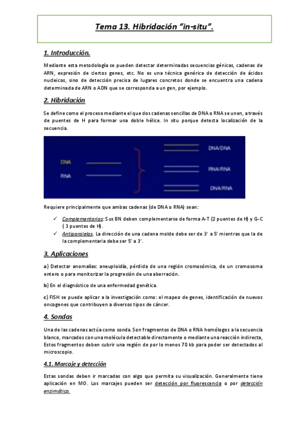 Miniatura del documento Tema-13.pdf