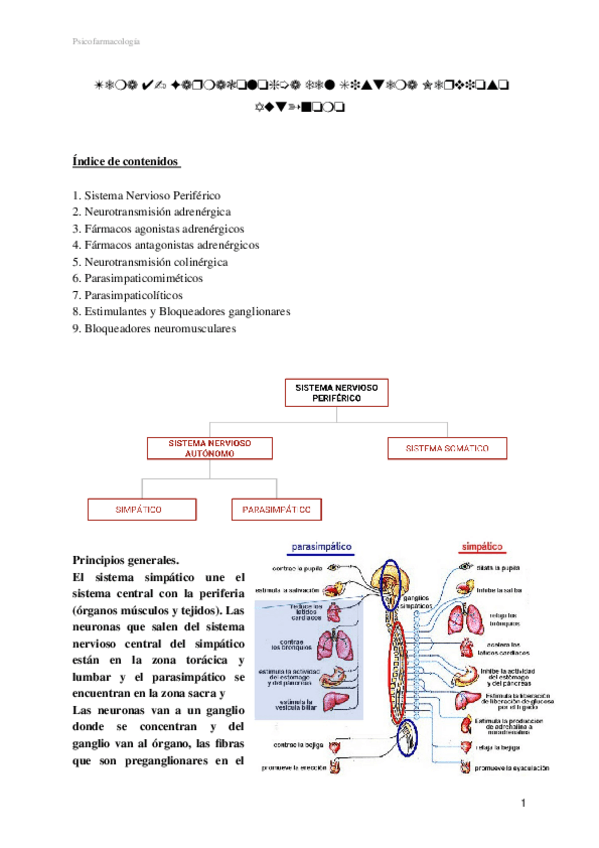 Miniatura del documento TEMA-4.docx