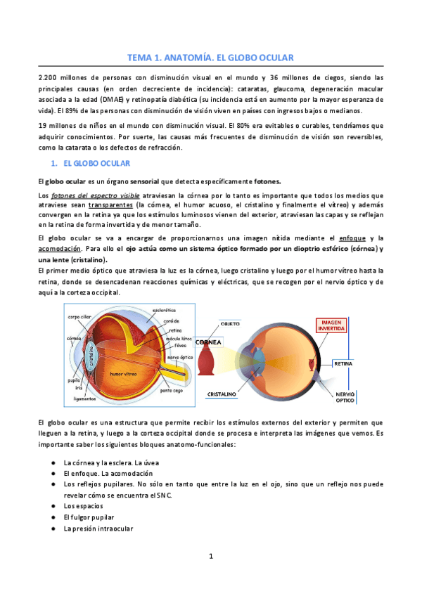Miniatura del documento Tema-1.pdf