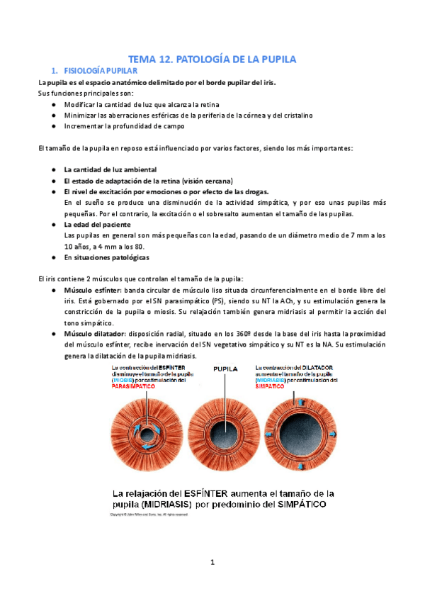 Miniatura del documento Tema-12.pdf