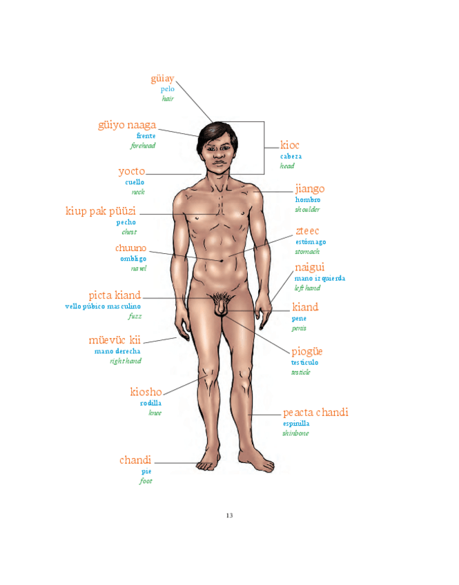 Miniatura del documento partesdelcuerpoayapaneco-14-51.pdf