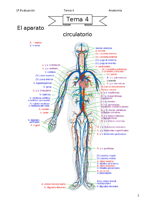 Miniatura del documento Tema-4.docx