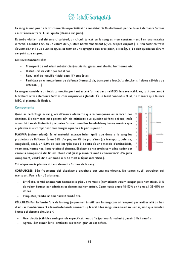 Miniatura del documento Tema-5.pdf