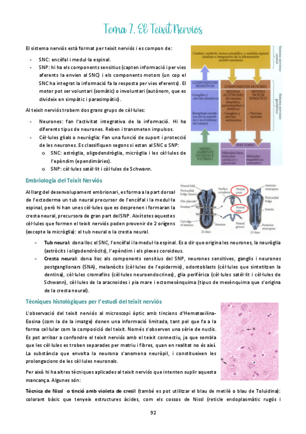 Miniatura del documento Tema-7.pdf