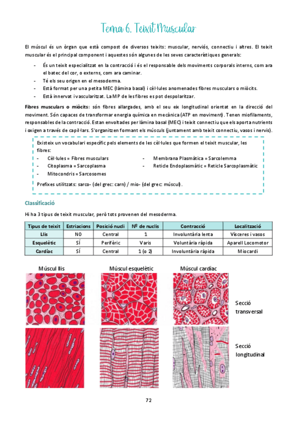 Miniatura del documento Tema-6.pdf