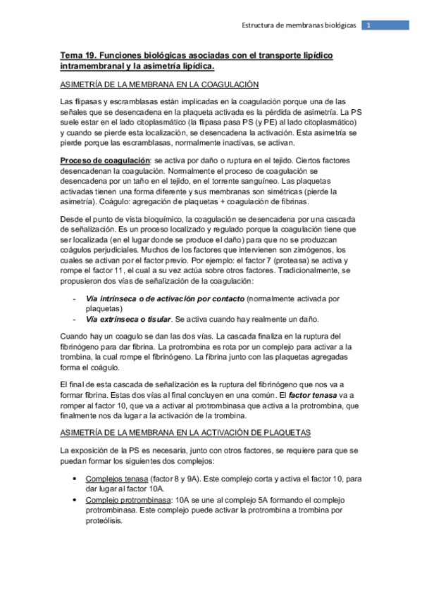 Miniatura del documento Tema 19.pdf