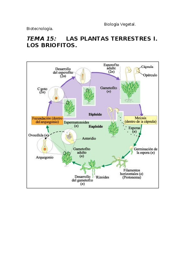 Miniatura del documento Biología Vegetal. tema 8.docx