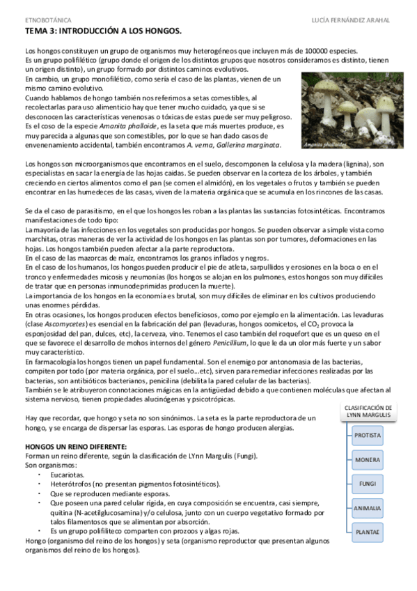 Miniatura del documento TEMA 3.pdf