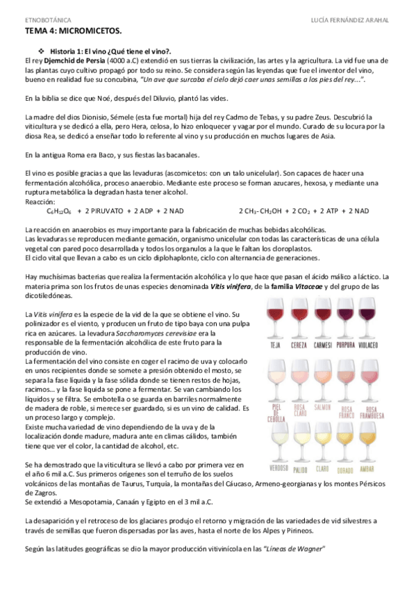 Miniatura del documento TEMA 4.pdf