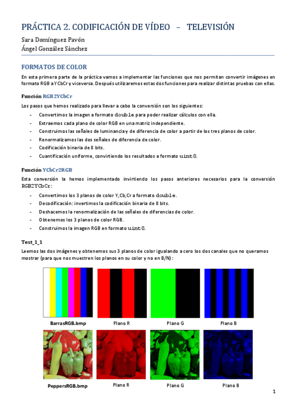 Miniatura del documento P2Memoria SaraDP.pdf