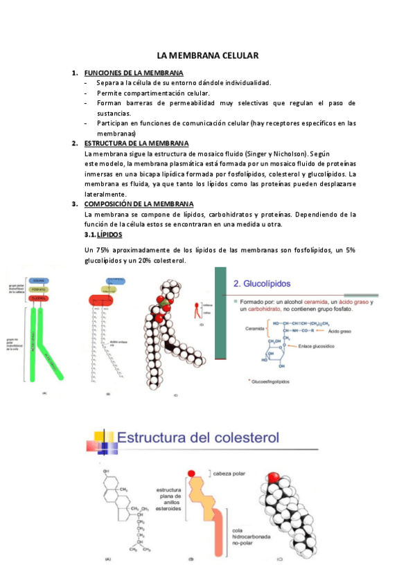 Miniatura del documento Tema 2.pdf