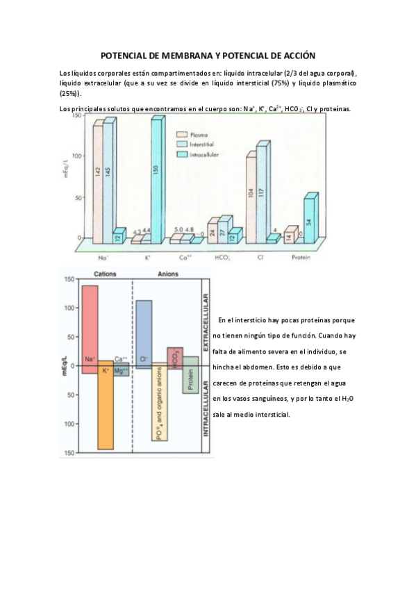 Miniatura del documento Tema 3.pdf