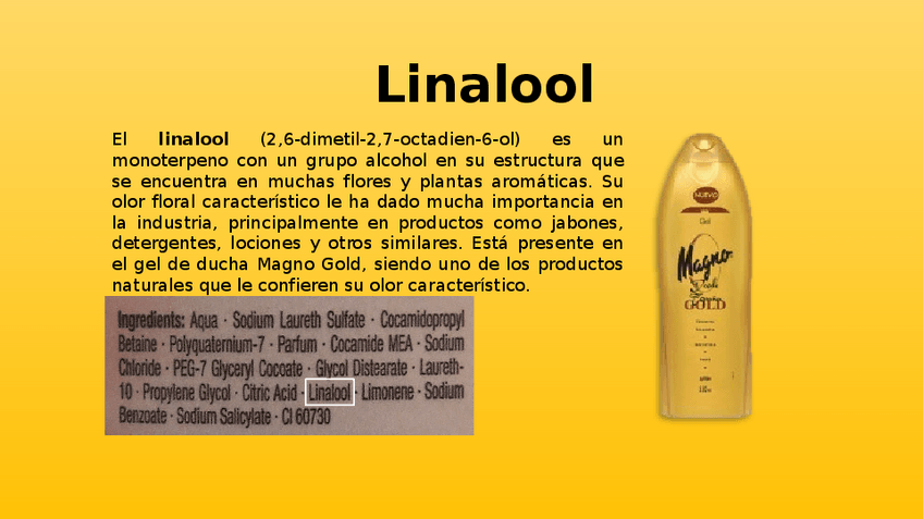 Miniatura del documento AAD1.pptx