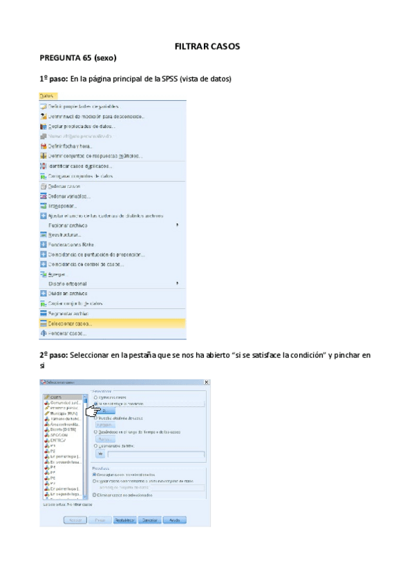 Miniatura del documento filtrar SPSS.pdf