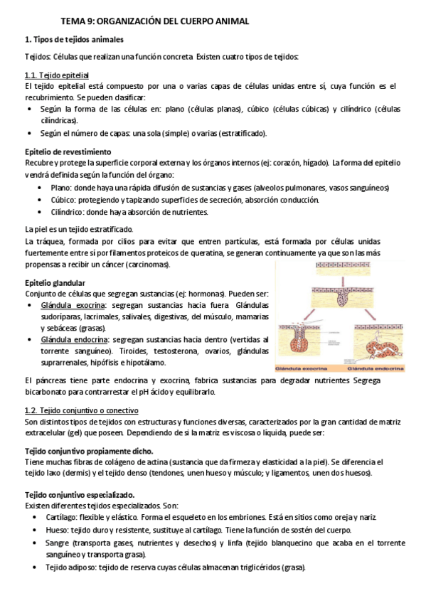 Miniatura del documento Tema 3 El cuerpo humano.pdf
