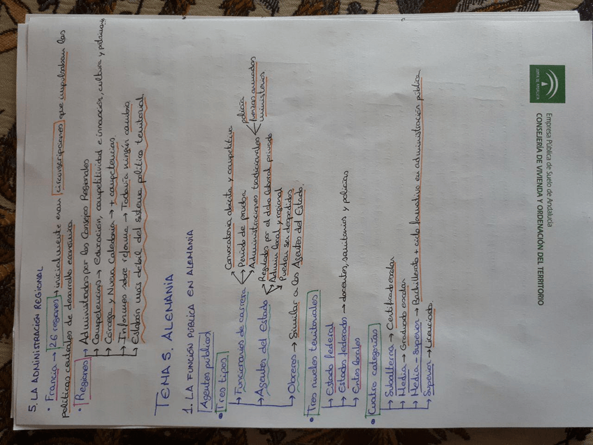 Miniatura del documento 8.jpg