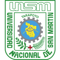 Universidad Nacional de San Martín