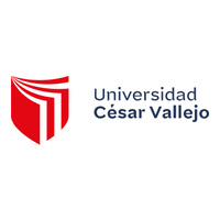 Universidad César Vallejo SAC
