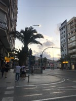 crimialicante