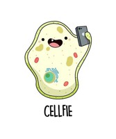 Cellfiefmed