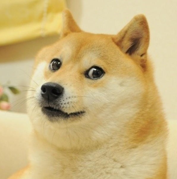 Arquidoge