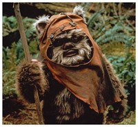 ewokkk