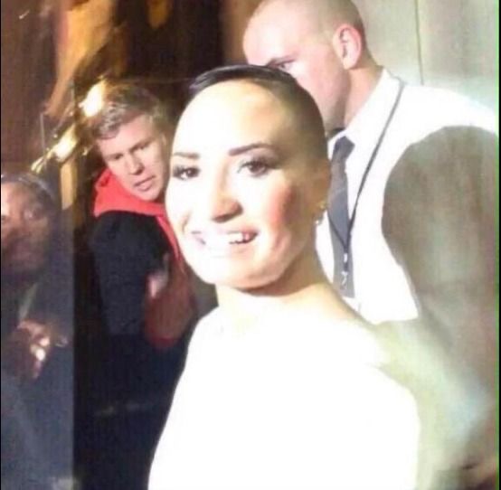 poot_lovato