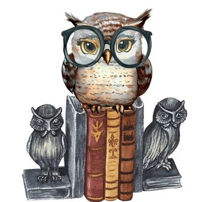 Nerdy_Owl